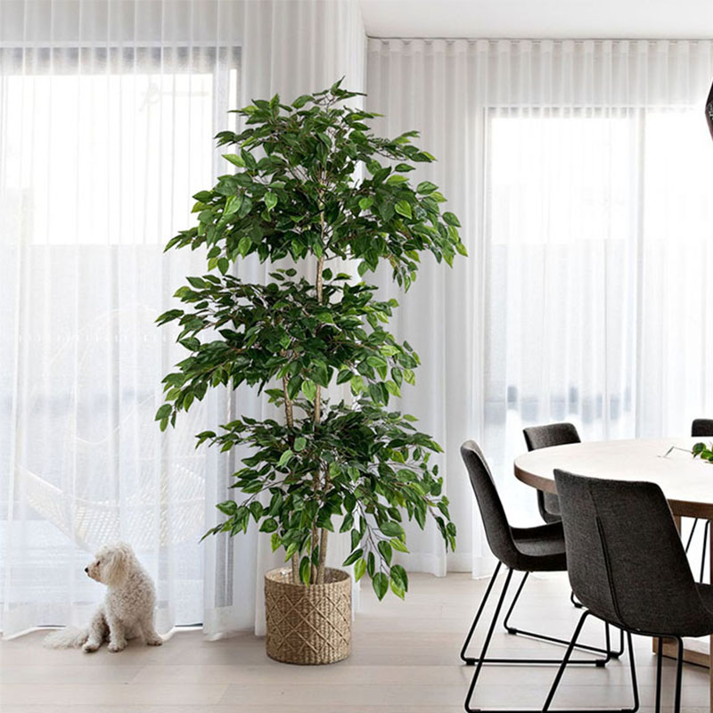 Ficus Lyrata Tree - Ficus-árbol Artificial de 70 pulgadas, plantas