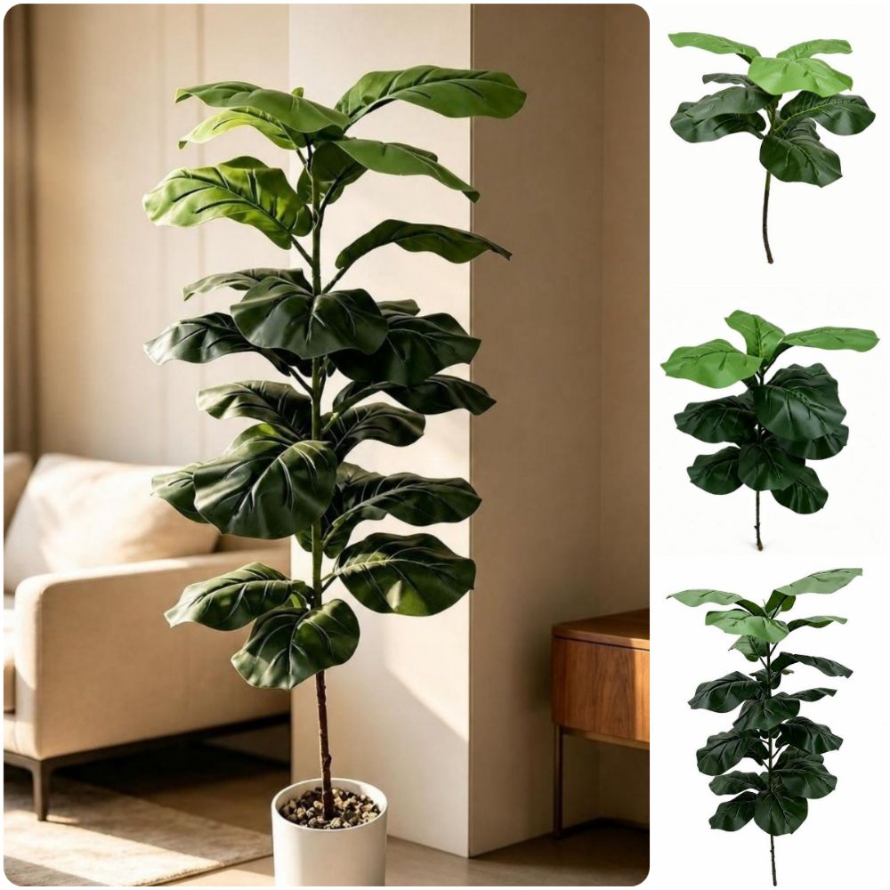 Ficus Lyrata Tree - 9/15/23 Hojas de Ficus Lyrata Artificial,