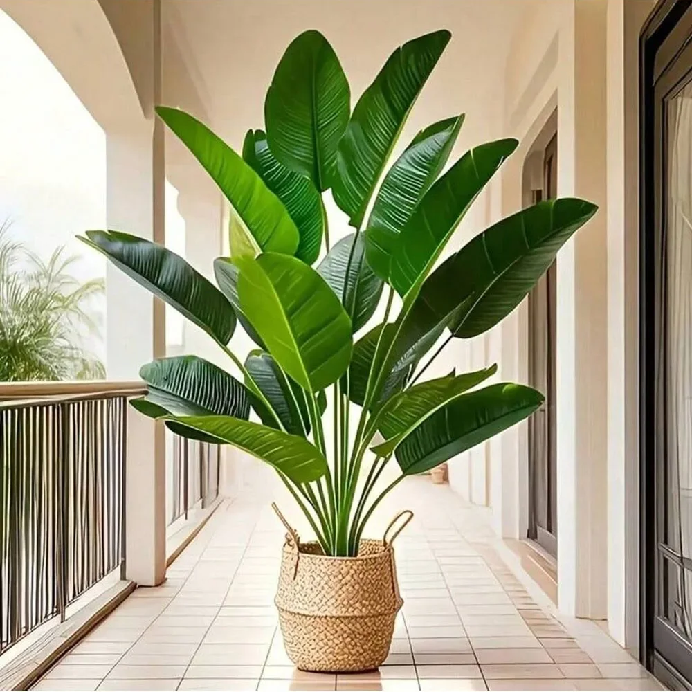 1 unidad de plantas artificial - Ficus Lyrata Tree reseña y precio