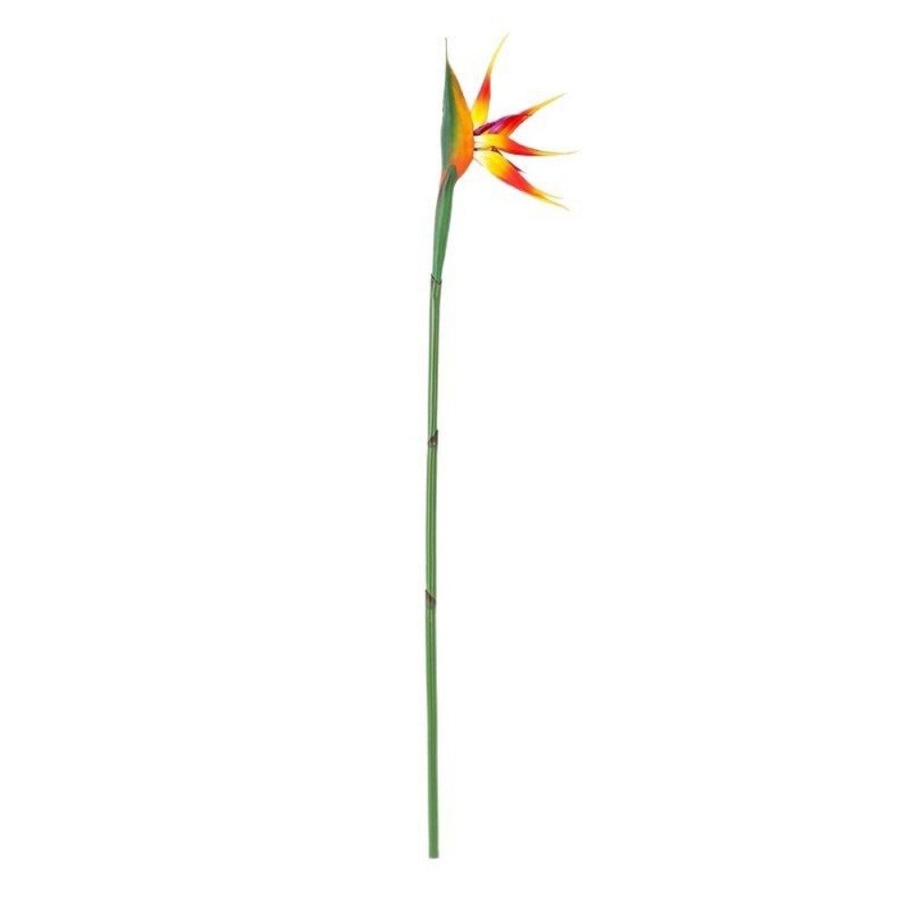 Nuevas Plantas Artificiales de - Bird Paradise Strelitzia reseña y precio